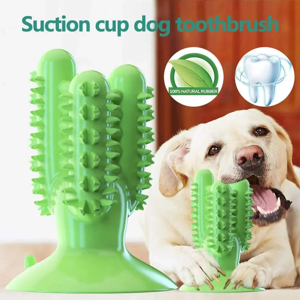 NEW Dog Toothbrush Toys for Dogs Interactive Toy Training IQ Teeth