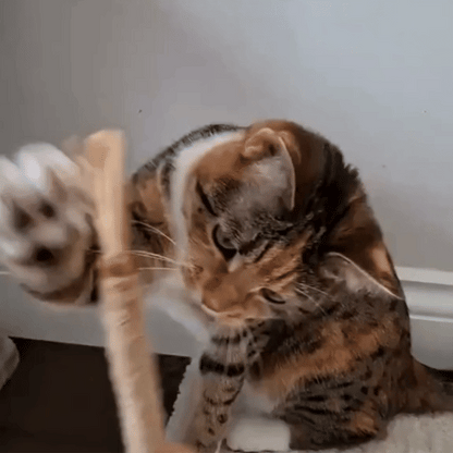 Chewpie Silvervine Sticks