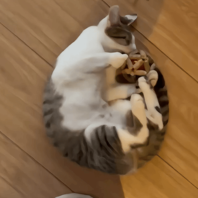 Calming Cat Chew Duo – 2pcs Bell & Mint Set