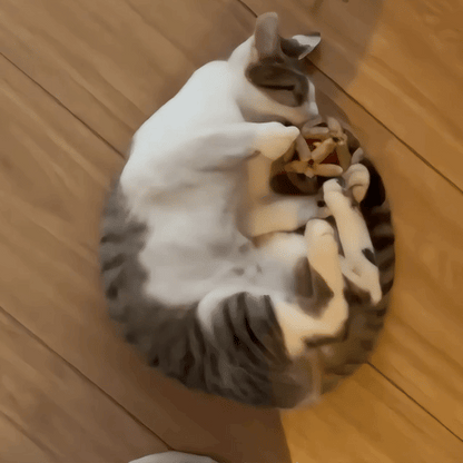 Calming Cat Chew Duo – 2pcs Bell & Mint Set