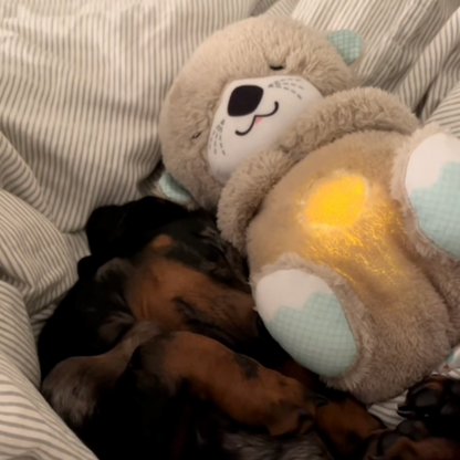 Chewpie Calming Breathing Otter