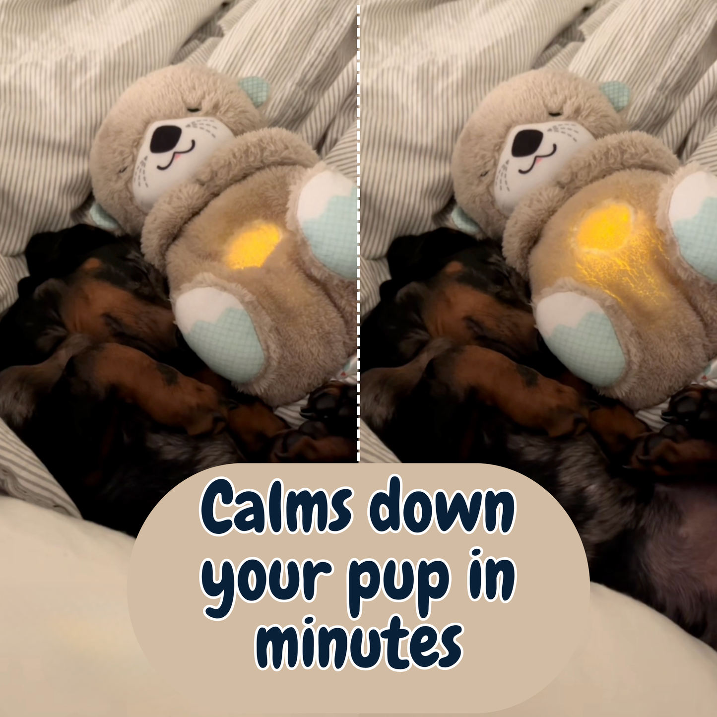 Chewpie Calming Breathing Otter