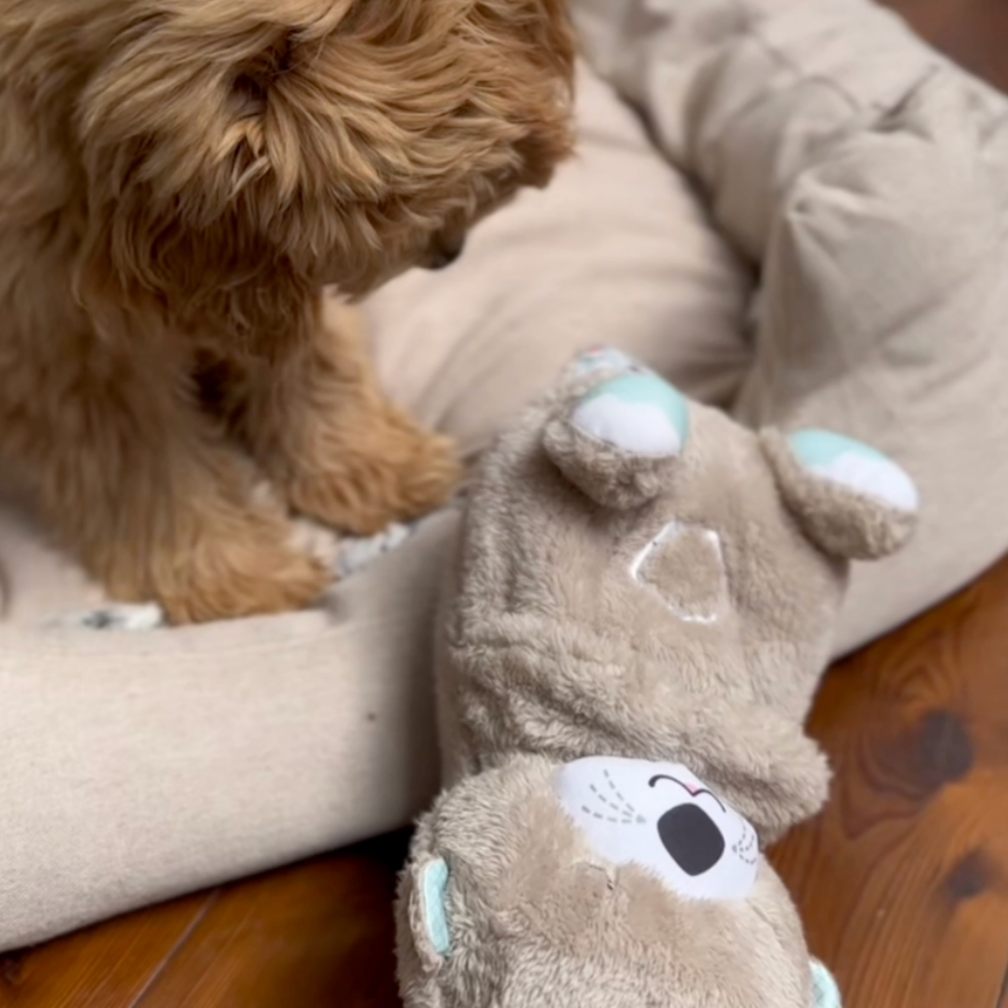 Chewpie Calming Breathing Otter