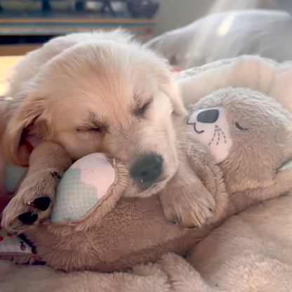 Chewpie Calming Breathing Otter
