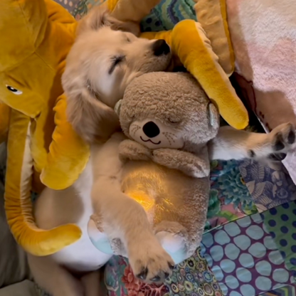 Chewpie Calming Breathing Otter