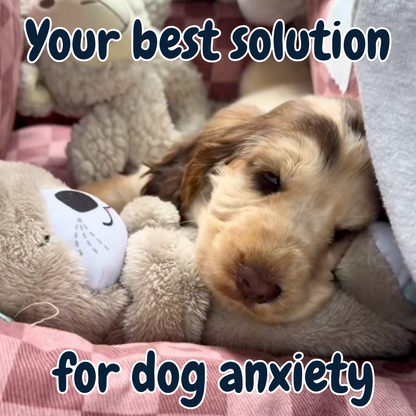 Chewpie Calming Breathing Otter