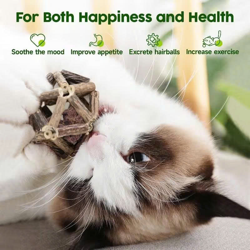 Calming Cat Chew Duo – 2pcs Bell & Mint Set