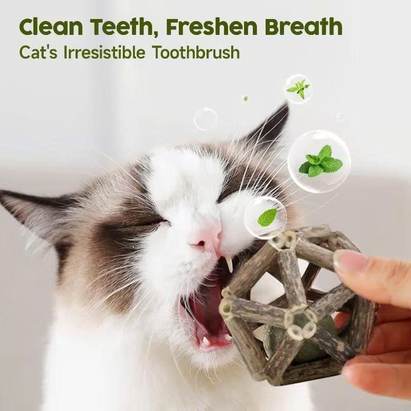 Calming Cat Chew Duo – 2pcs Bell & Mint Set