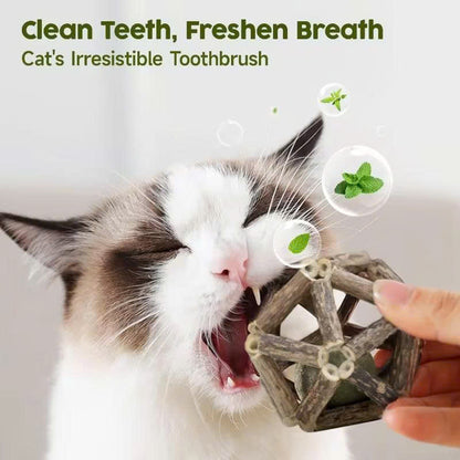 Calming Cat Chew Duo – 2pcs Bell & Mint Set