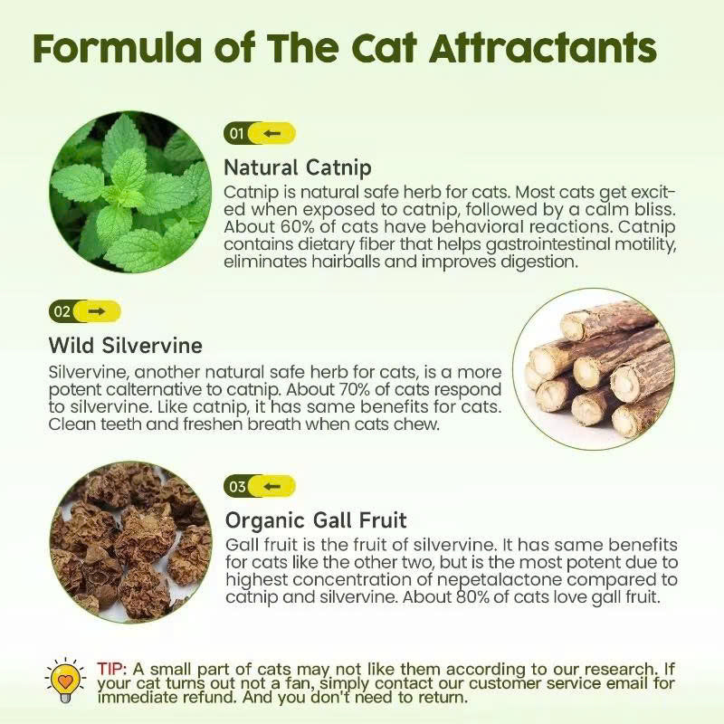 Calming Cat Chew Duo – 2pcs Bell & Mint Set