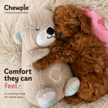 Chewpie Calming Breathing Otter