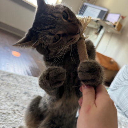 Chewpie Silvervine Sticks