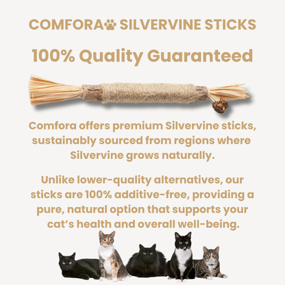 Chewpie Silvervine Sticks