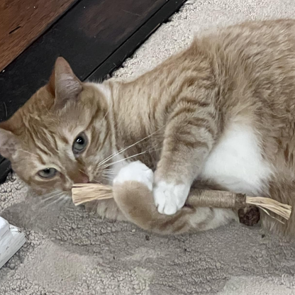 Chewpie Silvervine Sticks