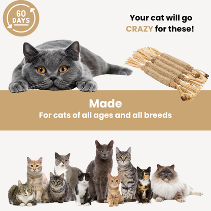 Chewpie Silvervine Sticks