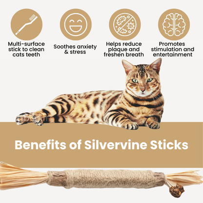 Chewpie Silvervine Sticks