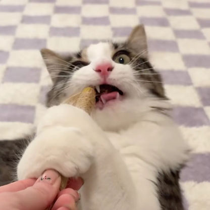 Chewpie Silvervine Sticks