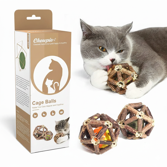 Calming Cat Chew Duo – 2pcs Bell & Mint Set