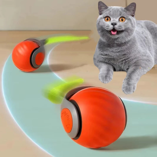 Cat Ball Toy, Automatic Rolling Ball