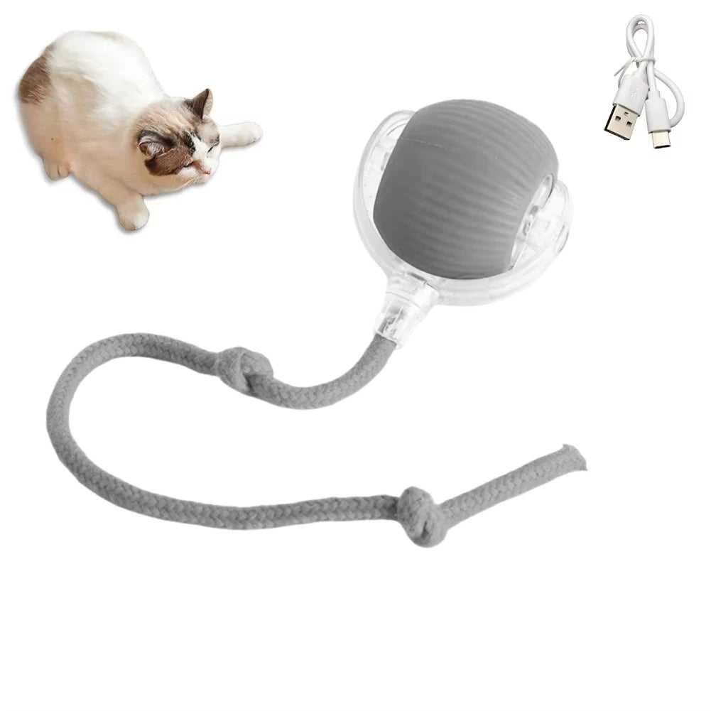 Cat Ball Toy, Automatic Rolling Ball