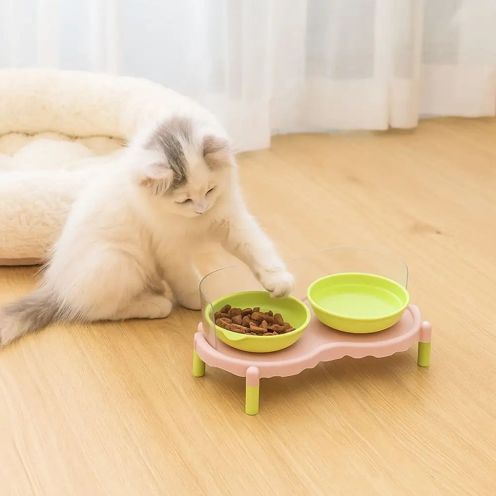 Ceramic cat food bowl