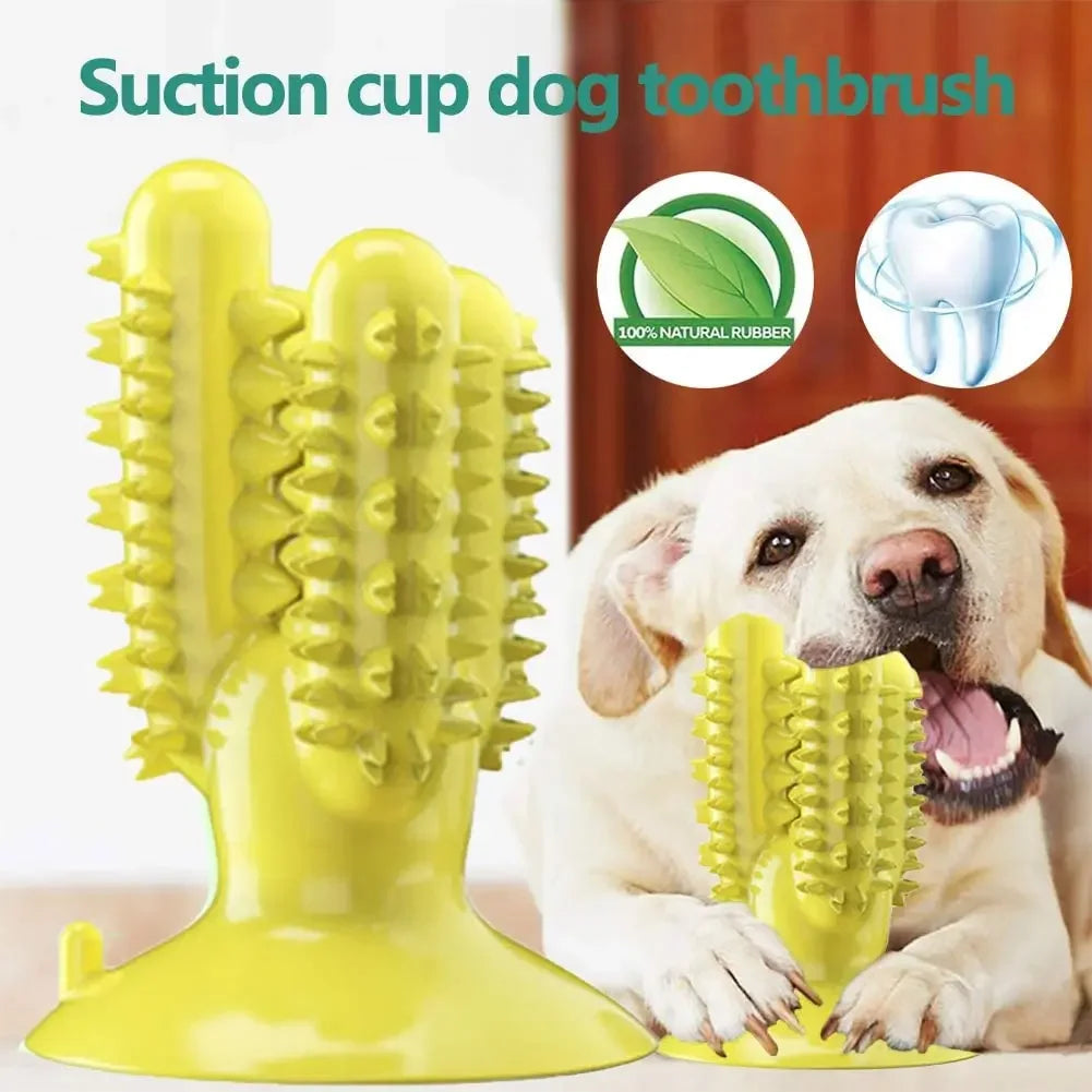 NEW Dog Toothbrush Toys for Dogs Interactive Toy Training IQ Teeth