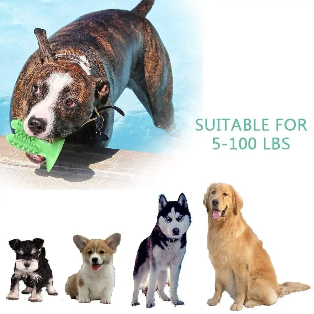 NEW Dog Toothbrush Toys for Dogs Interactive Toy Training IQ Teeth