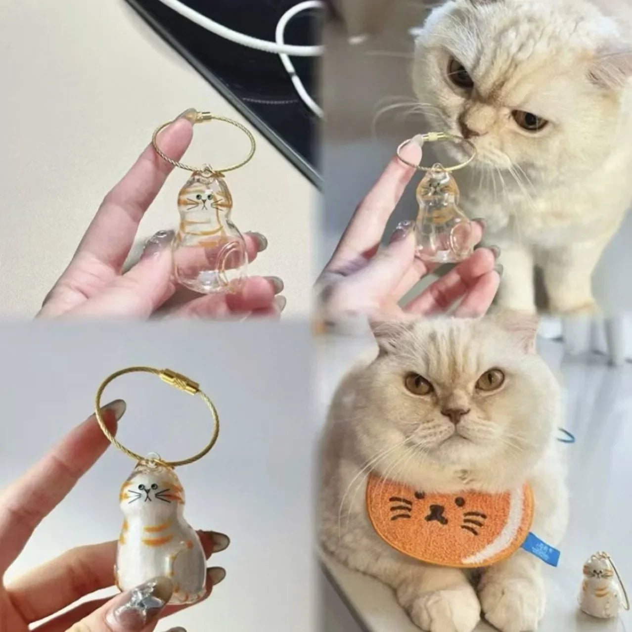 Pet Hair Keepsake Box Memorial Bottle for Cat Fur Storage