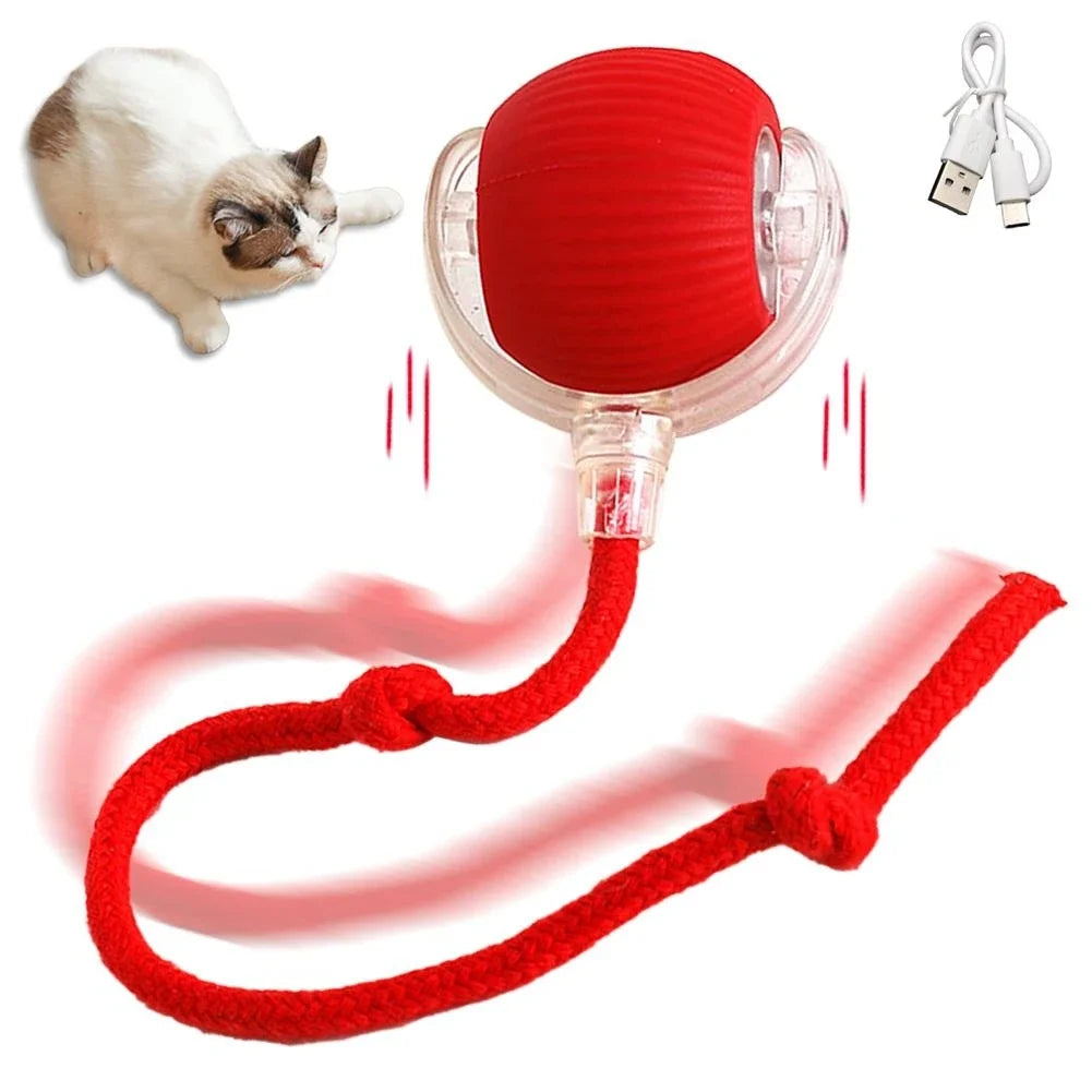 Cat Ball Toy, Automatic Rolling Ball