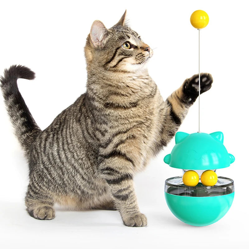 3-in-1 Wobbler Toy