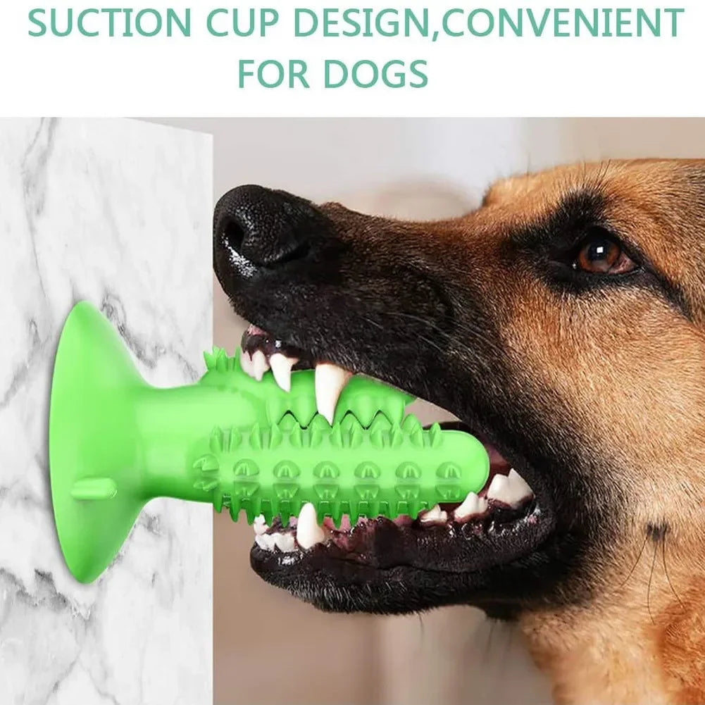 NEW Dog Toothbrush Toys for Dogs Interactive Toy Training IQ Teeth