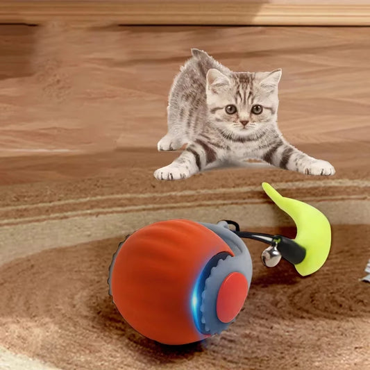 Cat Ball Toy, Automatic Rolling Ball