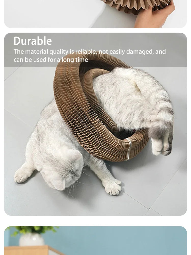 Foldable Cat Scratching Board with Ball Track
