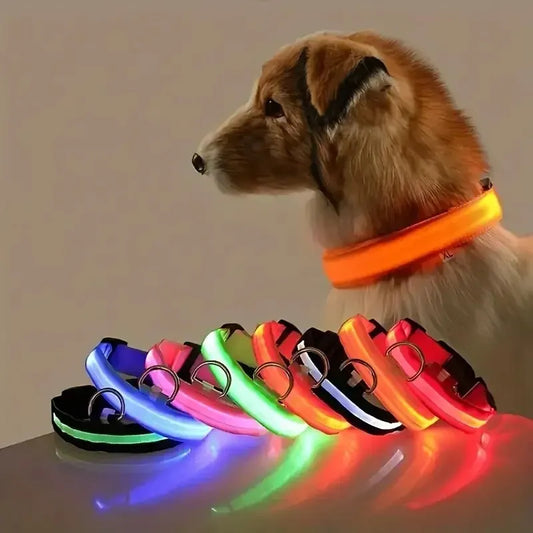Collar Rechargeable glowing LED dog collar for safety night walks