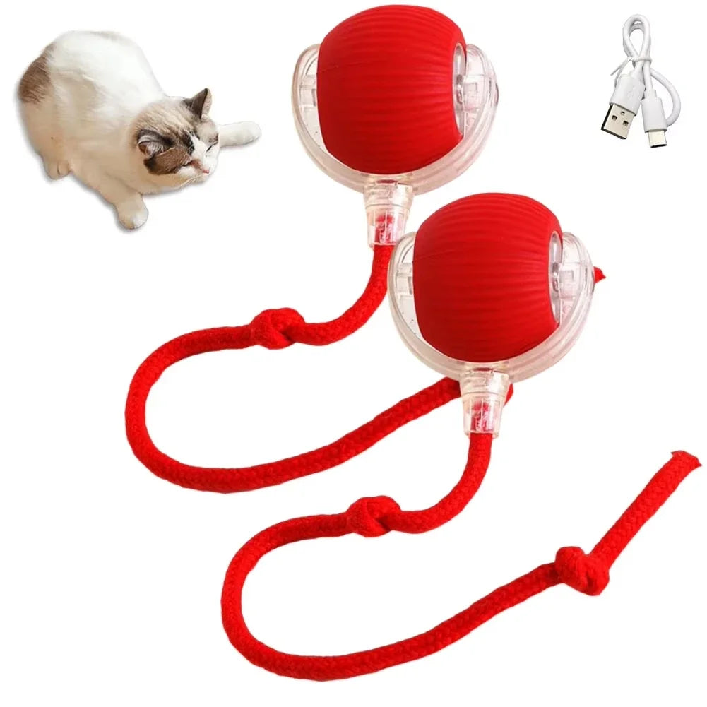 Cat Ball Toy, Automatic Rolling Ball