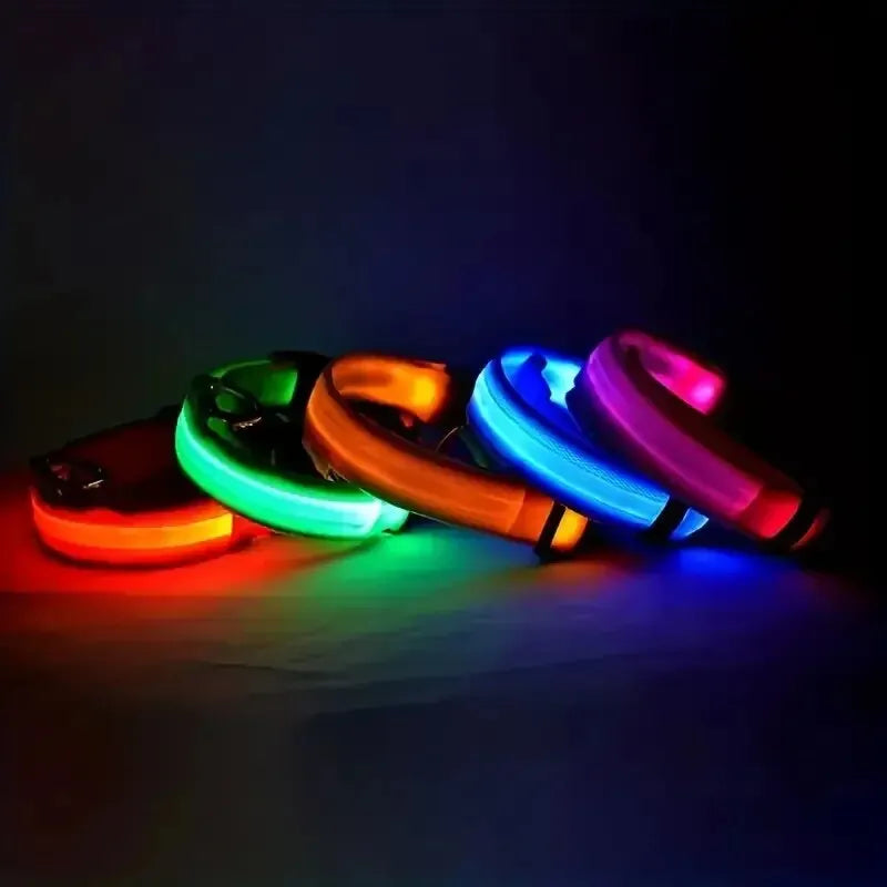 Collar Rechargeable glowing LED dog collar for safety night walks