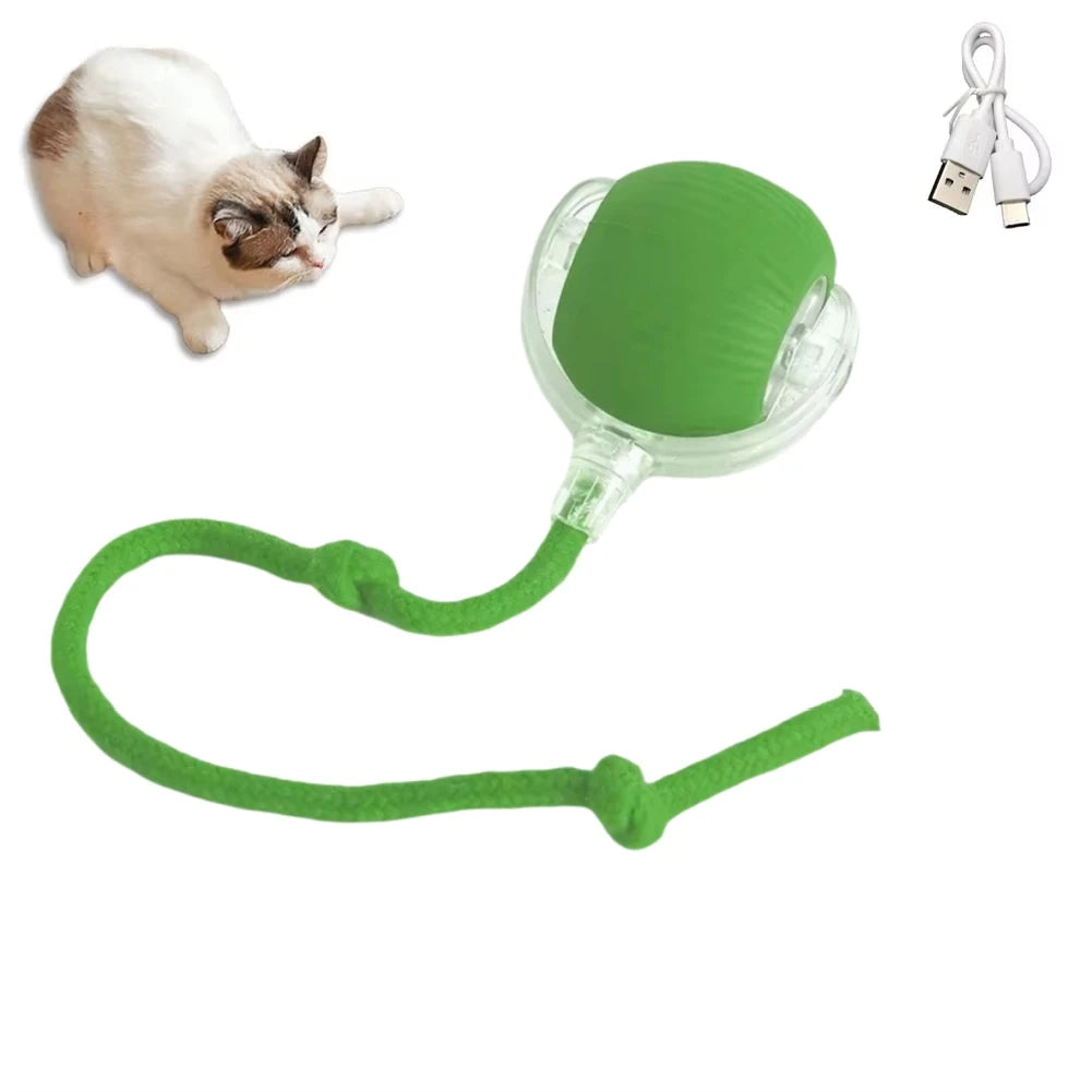 Cat Ball Toy, Automatic Rolling Ball