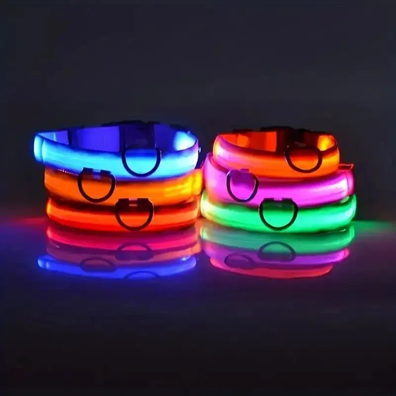 Collar Rechargeable glowing LED dog collar for safety night walks