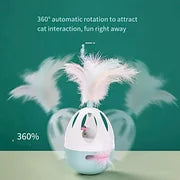 Interactive Cat Feather Toys, Catnip